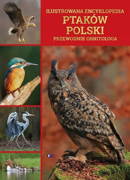 ILUSTROWANA ENCYKLOPEDIA ATLAS PTAKÓW POLSKI DUŻY ALBUM 450 szt ornitologia