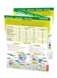 maxi-sciaga-biologia-sciagawka-skladana-klasowka