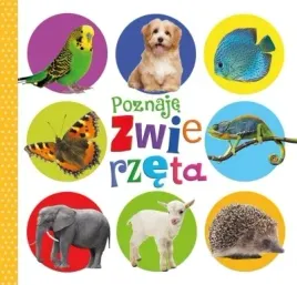 poznaje-zwierzeta-dla-dzieci-kartonowka-20x19-50percent
