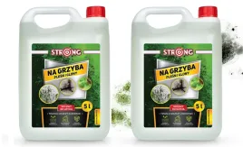2x-srodek-na-plesn-grzyba-glony-zwalcza-i-zabezpiecza-dom-tynki-strong-5l