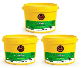 3x-duza-pulapka-na-muchy-z-silnym-atraktantem-wielokrotnego-uzytku-strong