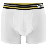xxl-kolor-wielokolorowy