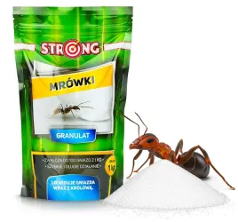 najlepszy-proszek-na-mrowki-srodek-na-mrowki-trutka-granulat-strong-1-kg