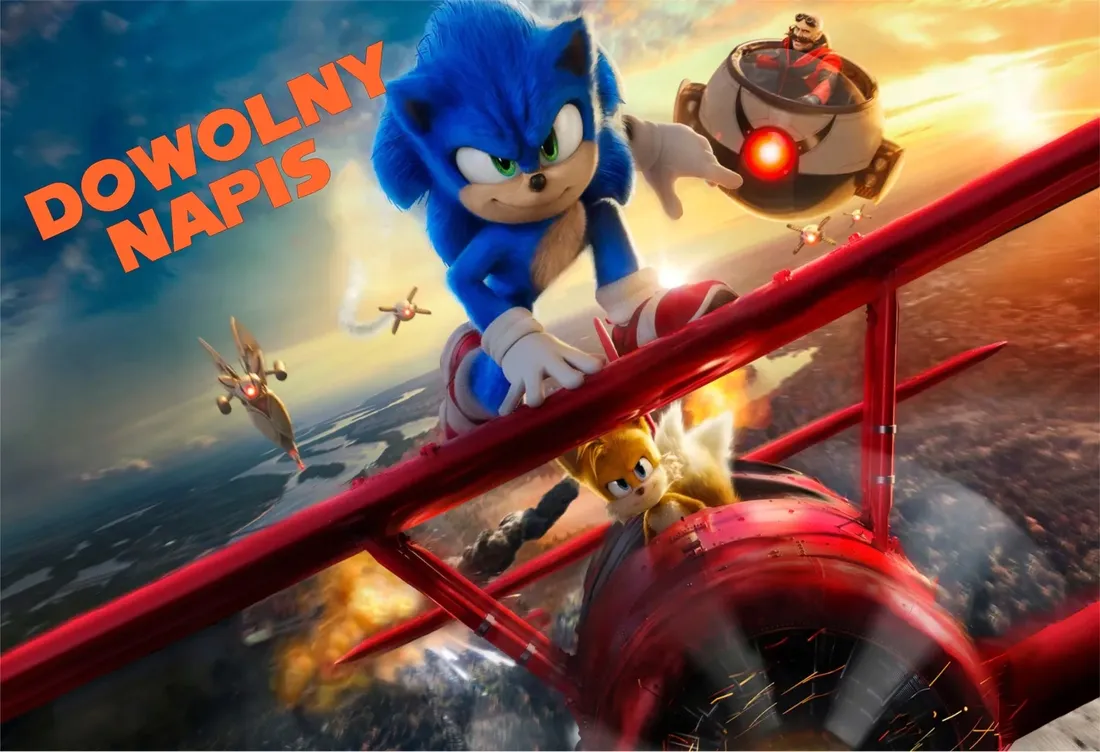 puzzle-sonic-z-twoim-napisem-252-el-stan-nowy