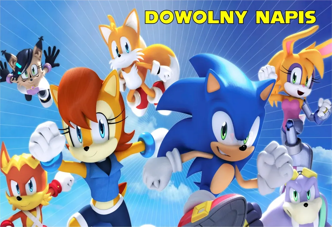 puzzle-sonic-z-twoim-napisem-252-el-stan-nowy