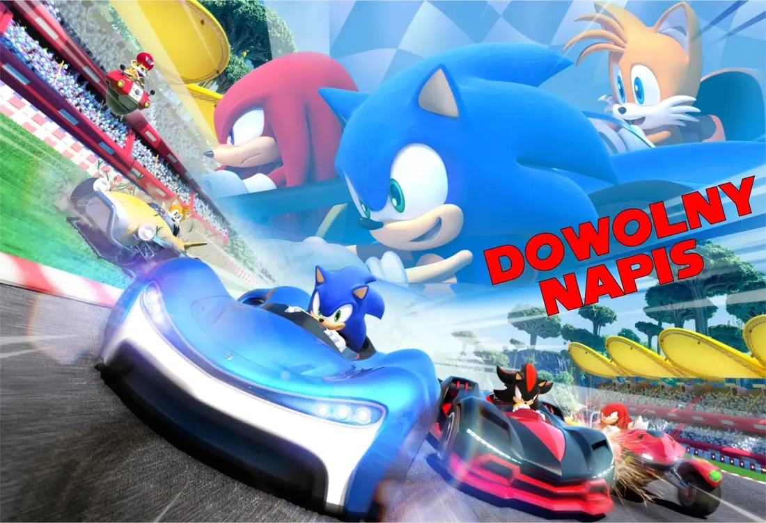 puzzle-sonic-z-twoim-napisem-252-el-stan-nowy