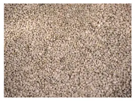 sorgo-biale-dari-45kg-karma-dla-papug-srednich-i-duzych-ptakow-pokarm