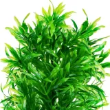 roslina-sztuczna-high-leafy-30cm-kruger-meier-kod-producenta-kruger-meier-roslinka-wysoka-zielen-2579