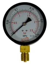 manometr-goshe-100-mm-25-bara-duzy-dol