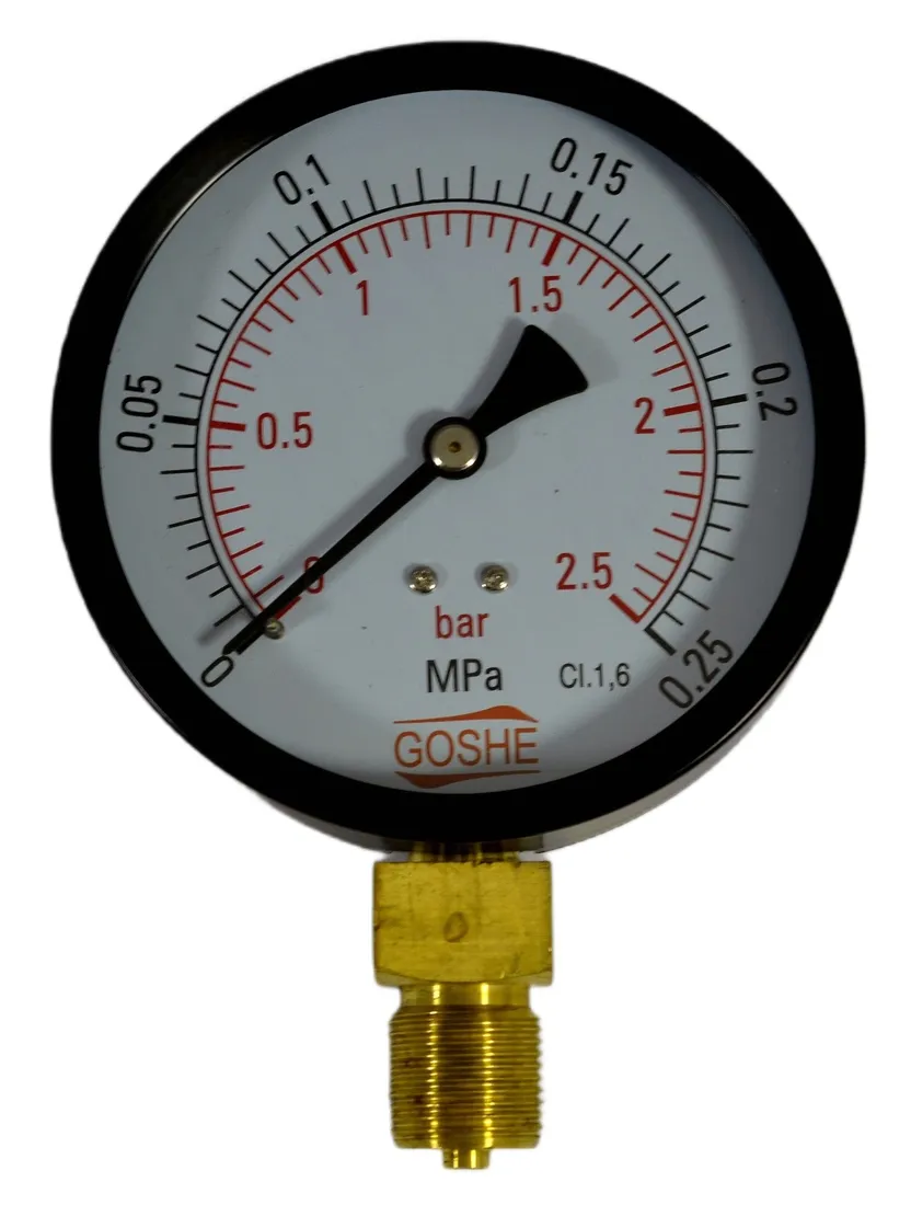 manometr-goshe-100-mm-25-bara-duzy-dol