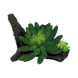 roslina-sztuczna-succulent-green-repto