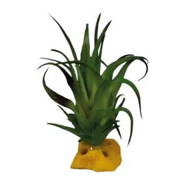 roslina-sztuczna-tillandsia-repto