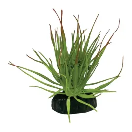 roslina-sztuczna-tillandsia-big-repto
