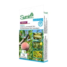 syllit-65-wp-5g
