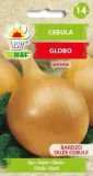 cebula-globo-2g-cykl-rozwojowy-rosliny-jednoroczna