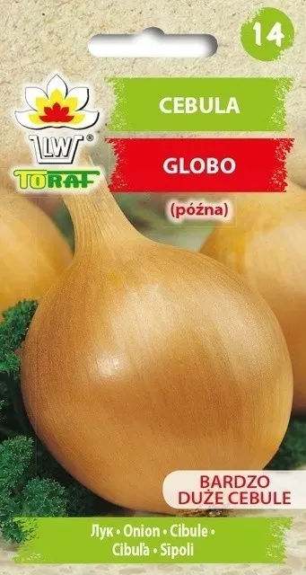 cebula-globo-2g