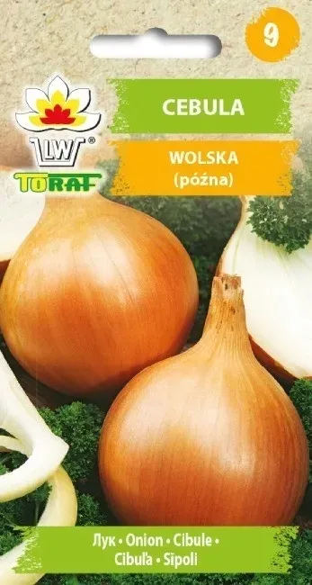 cebula-wolska-5g