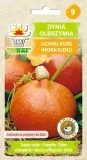 dynia-uchiki-kuri-5g-cykl-rozwojowy-rosliny-jednoroczna