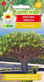 exotic-hobby-dracena-smocza