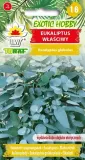 exotic-hobby-eukaliptus-wlasciwy