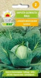 kapusta-glow-biala-langedijker-dauer-2g