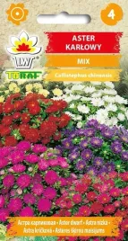 aster-karlowaty-mix-1g