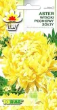 aster-peoniowy-zolty-1g