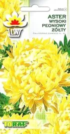 aster-peoniowy-zolty-1g