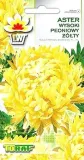aster-peoniowy-zolty-1g-rodzaj-rosliny-astry