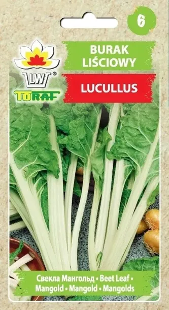 burak-lisciowy-lucullus-5g-cykl-rozwojowy-rosliny-jednoroczna