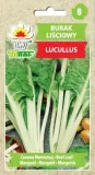 burak-lisciowy-lucullus-5g-cykl-rozwojowy-rosliny-jednoroczna