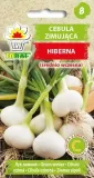 cebula-hiberna-2g