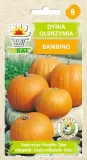 dynia-olbrzymia-bambino