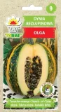 dynia-olbrzymia-olga-4g