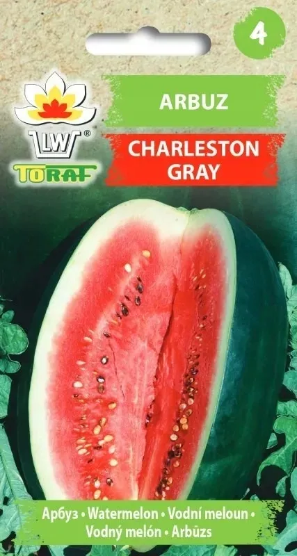 arbuz-charleston-gray-1g
