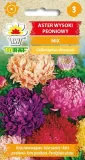 aster-peoniowy-mix-1g