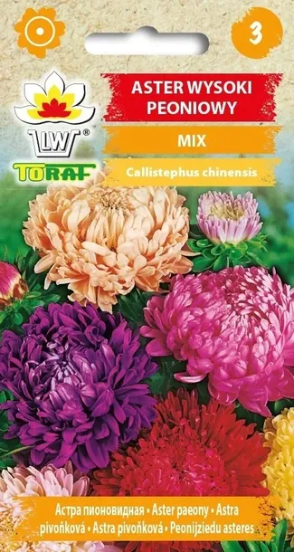 aster-peoniowy-mix-1g-rodzaj-rosliny-astry