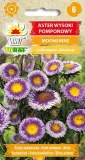 aster-pomponowy-moonshine-05g