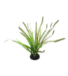 spartina-trawa-30-cm-repti-planet