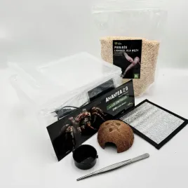 starter-box-dla-weza-zbozowego-pojemnik-do-hodowli