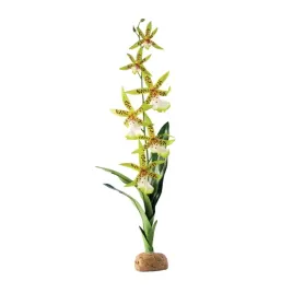 storczyk-spider-orchid-43cm-exo-terra