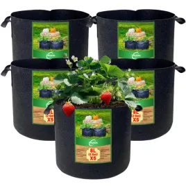 pojemnik-na-rosliny-z-uchwytem-do-wielokrotnego-uzytku-pigada-5-sztuk