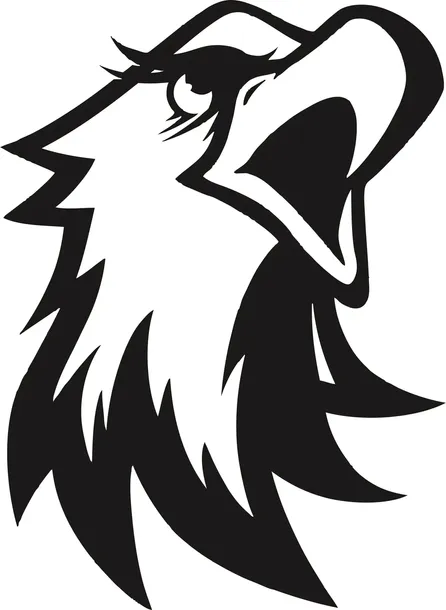 naklejka-orzel-eagle-164-x-12-cm