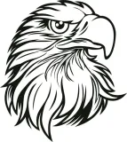 naklejka-orzel-eagle-201-x-18-cm