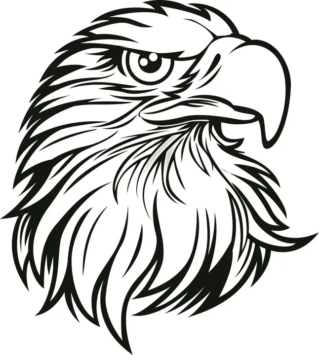 naklejka-orzel-eagle-201-x-18-cm