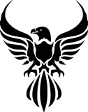 naklejka-orzel-eagle-229-x-18-cm