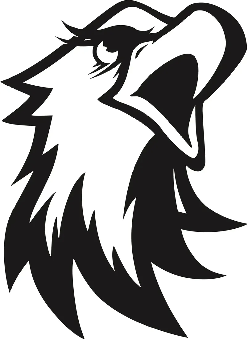 naklejka-orzel-eagle-247-x-18-cm