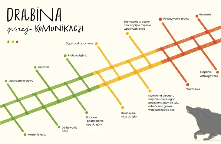 jak-rozmawiac-z-psem-stan-nowy-przedzial-wiekowy-dla-dzieci-z-klas-i-iii-6-9-lat