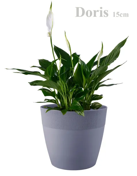 doniczka-oslonka-doris-15cm-biala-stan-nowy