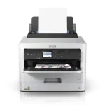 epson-durabrite-pro